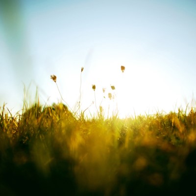 1920 x 1080 HD Wallpapers 1706